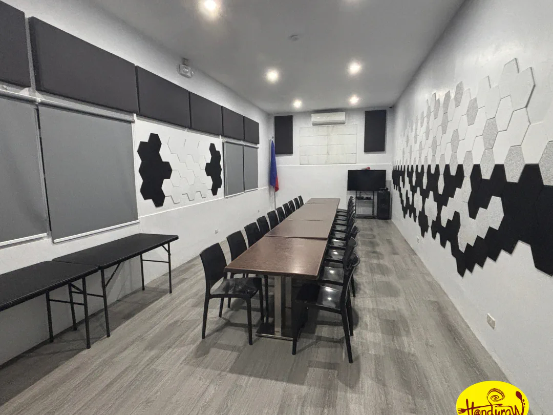 The Handuraw function room seen from the entrance: a long table with black chairs, hexagon acoustic wall panels, a TV and the Philippine flag